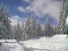 tiroler winter